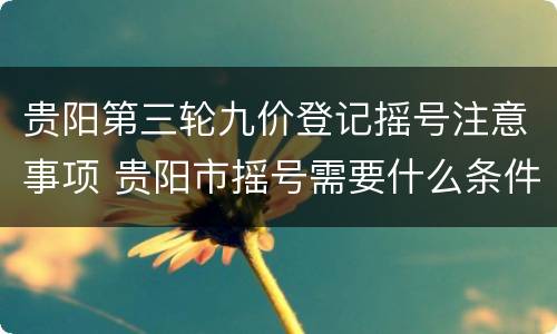 贵阳第三轮九价登记摇号注意事项 贵阳市摇号需要什么条件