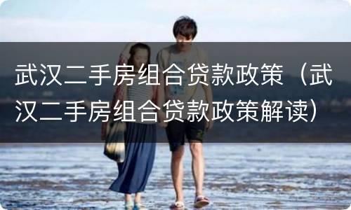 武汉二手房组合贷款政策（武汉二手房组合贷款政策解读）