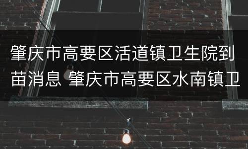 肇庆市高要区活道镇卫生院到苗消息 肇庆市高要区水南镇卫生院