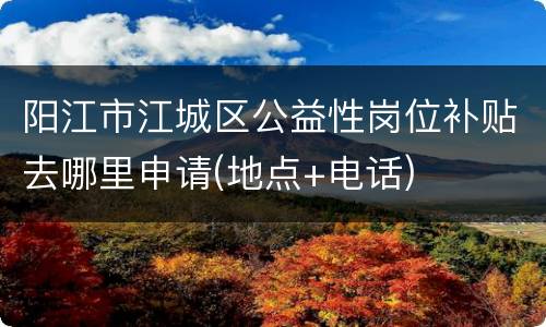 阳江市江城区公益性岗位补贴去哪里申请(地点+电话)