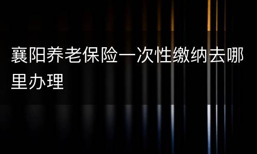 襄阳养老保险一次性缴纳去哪里办理