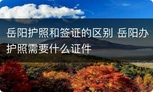 岳阳护照和签证的区别 岳阳办护照需要什么证件