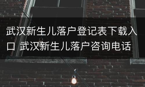 武汉新生儿落户登记表下载入口 武汉新生儿落户咨询电话