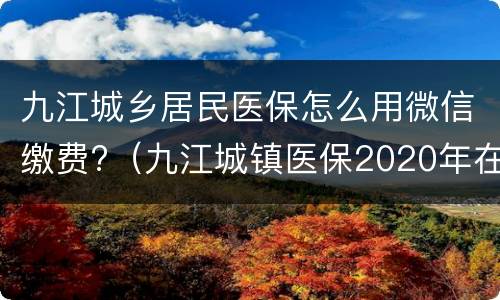 九江城乡居民医保怎么用微信缴费?（九江城镇医保2020年在哪里交费）