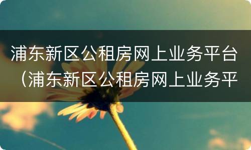 浦东新区公租房网上业务平台（浦东新区公租房网上业务平台登陆）