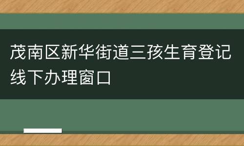 茂南区新华街道三孩生育登记线下办理窗口