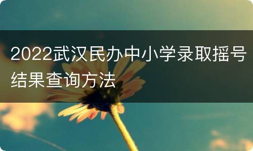 2022武汉民办中小学录取摇号结果查询方法