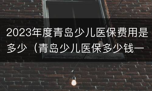 2023年度青岛少儿医保费用是多少（青岛少儿医保多少钱一年）