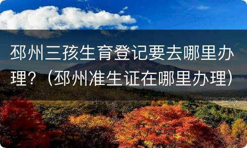 邳州三孩生育登记要去哪里办理?（邳州准生证在哪里办理）