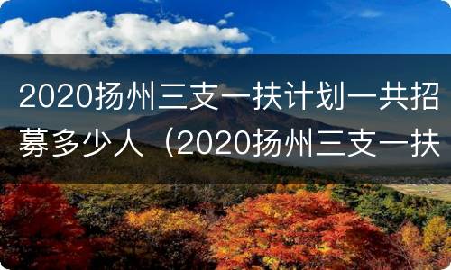 2020扬州三支一扶计划一共招募多少人（2020扬州三支一扶计划一共招募多少人啊）