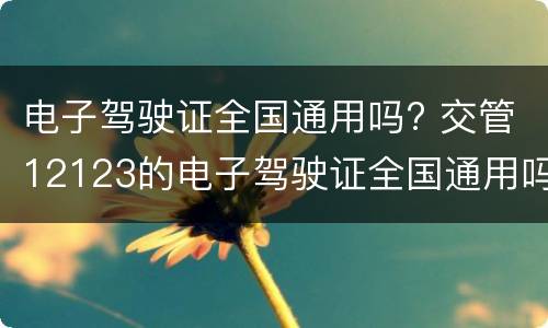 电子驾驶证全国通用吗? 交管12123的电子驾驶证全国通用吗