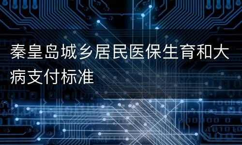 秦皇岛城乡居民医保生育和大病支付标准