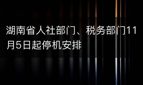 湖南省人社部门、税务部门11月5日起停机安排
