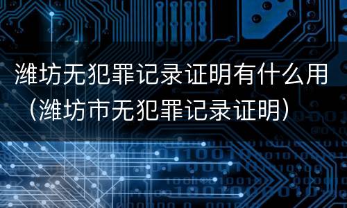 潍坊无犯罪记录证明有什么用（潍坊市无犯罪记录证明）