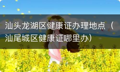 汕头龙湖区健康证办理地点（汕尾城区健康证哪里办）