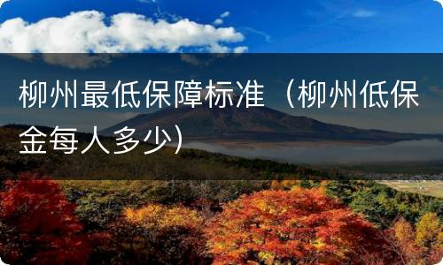 柳州最低保障标准（柳州低保金每人多少）
