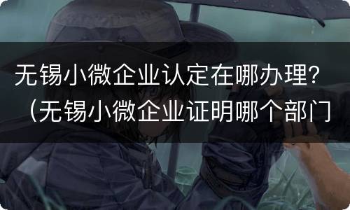 无锡小微企业认定在哪办理？（无锡小微企业证明哪个部门开）