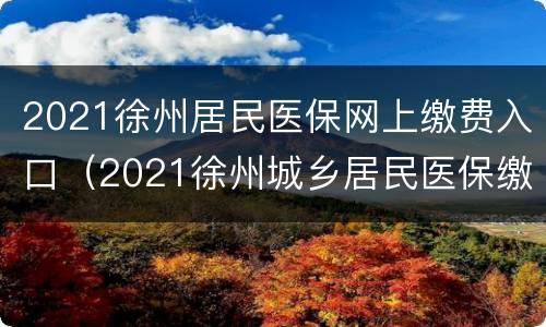 2021徐州居民医保网上缴费入口（2021徐州城乡居民医保缴费方式）