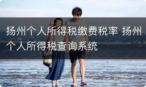 扬州个人所得税缴费税率 扬州个人所得税查询系统