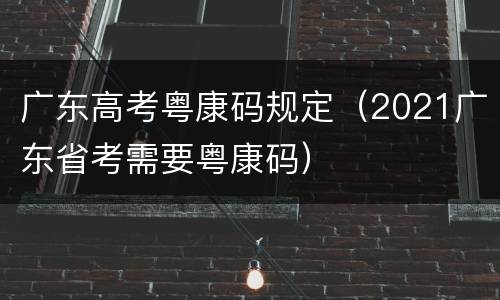 广东高考粤康码规定（2021广东省考需要粤康码）