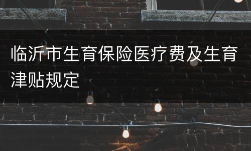 临沂市生育保险医疗费及生育津贴规定