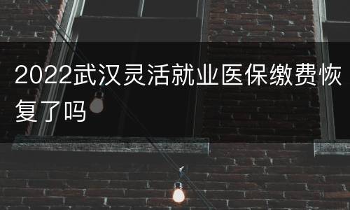 2022武汉灵活就业医保缴费恢复了吗