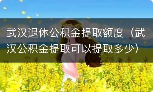 武汉退休公积金提取额度（武汉公积金提取可以提取多少）