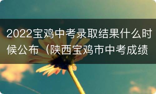 2022宝鸡中考录取结果什么时候公布（陕西宝鸡市中考成绩什么时候出来2021）