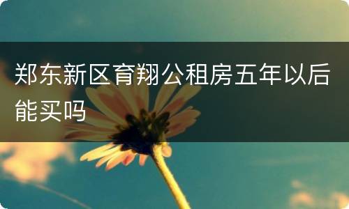 郑东新区育翔公租房五年以后能买吗