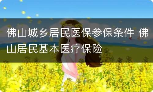 佛山城乡居民医保参保条件 佛山居民基本医疗保险