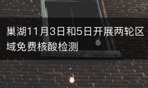 巢湖11月3日和5日开展两轮区域免费核酸检测
