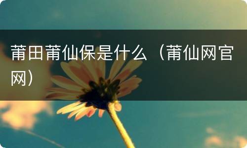 莆田莆仙保是什么（莆仙网官网）