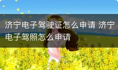 济宁电子驾驶证怎么申请 济宁电子驾照怎么申请