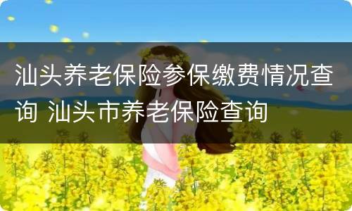 汕头养老保险参保缴费情况查询 汕头市养老保险查询
