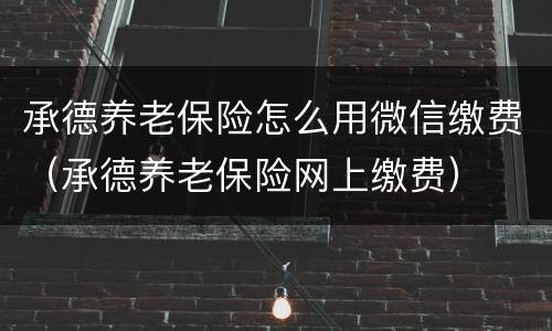 承德养老保险怎么用微信缴费（承德养老保险网上缴费）