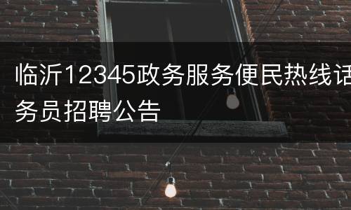 临沂12345政务服务便民热线话务员招聘公告