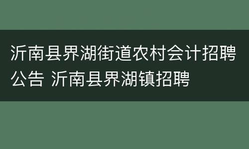 沂南县界湖街道农村会计招聘公告 沂南县界湖镇招聘