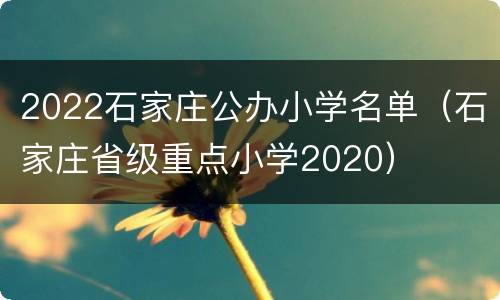 2022石家庄公办小学名单（石家庄省级重点小学2020）