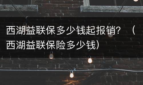西湖益联保多少钱起报销？（西湖益联保险多少钱）