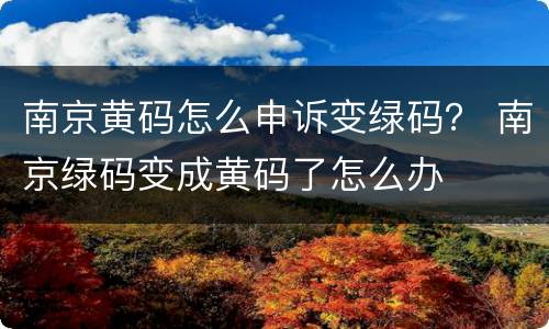 南京黄码怎么申诉变绿码？ 南京绿码变成黄码了怎么办