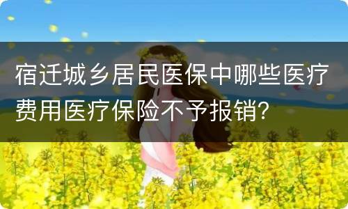 宿迁城乡居民医保中哪些医疗费用医疗保险不予报销？