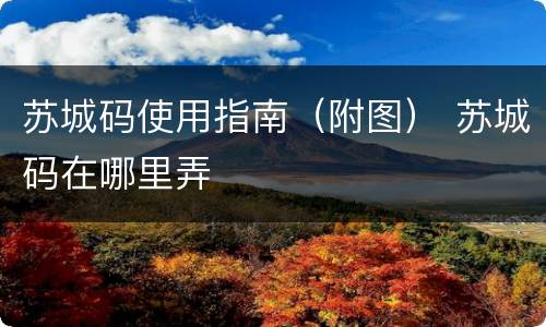 苏城码使用指南（附图） 苏城码在哪里弄