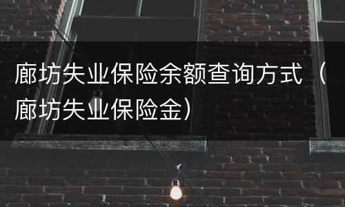 廊坊失业保险余额查询方式（廊坊失业保险金）