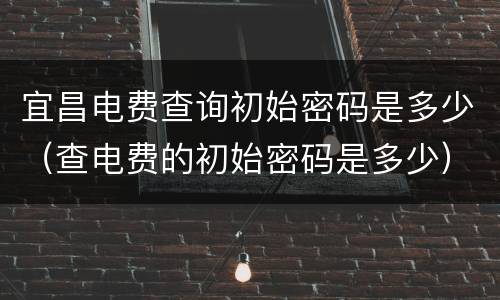宜昌电费查询初始密码是多少（查电费的初始密码是多少）