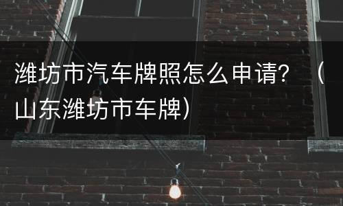 潍坊市汽车牌照怎么申请？（山东潍坊市车牌）