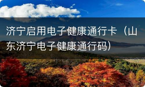 济宁启用电子健康通行卡（山东济宁电子健康通行码）