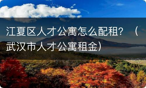 江夏区人才公寓怎么配租？（武汉市人才公寓租金）