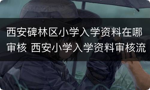 西安碑林区小学入学资料在哪审核 西安小学入学资料审核流程
