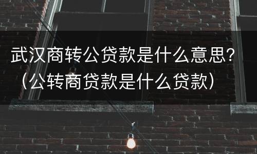 武汉商转公贷款是什么意思？（公转商贷款是什么贷款）