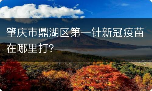 肇庆市鼎湖区第一针新冠疫苗在哪里打？